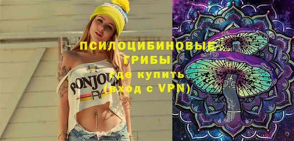 гашик Аркадак