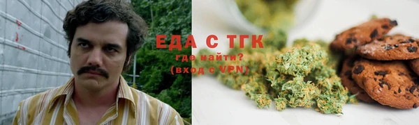 гашик Аркадак
