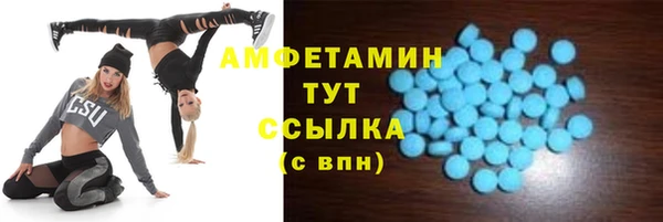 гашик Аркадак
