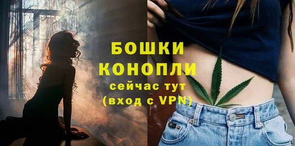 гашик Аркадак