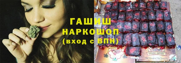 гашик Аркадак
