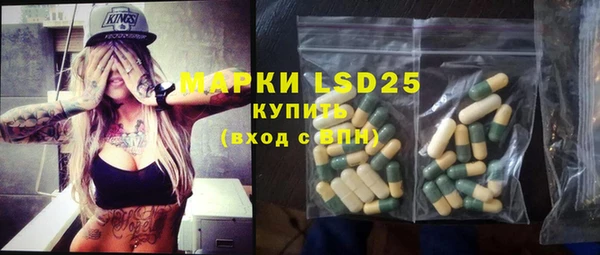 гашик Аркадак