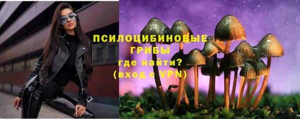 прущий лед Армянск