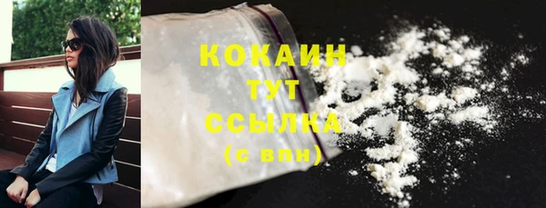 гашик Аркадак
