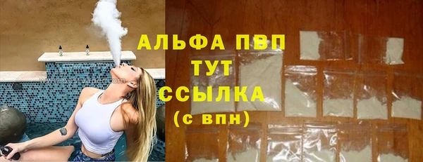 гашик Аркадак
