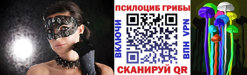 Псилоцибиновые грибы GOLDEN TEACHER  Кировск 