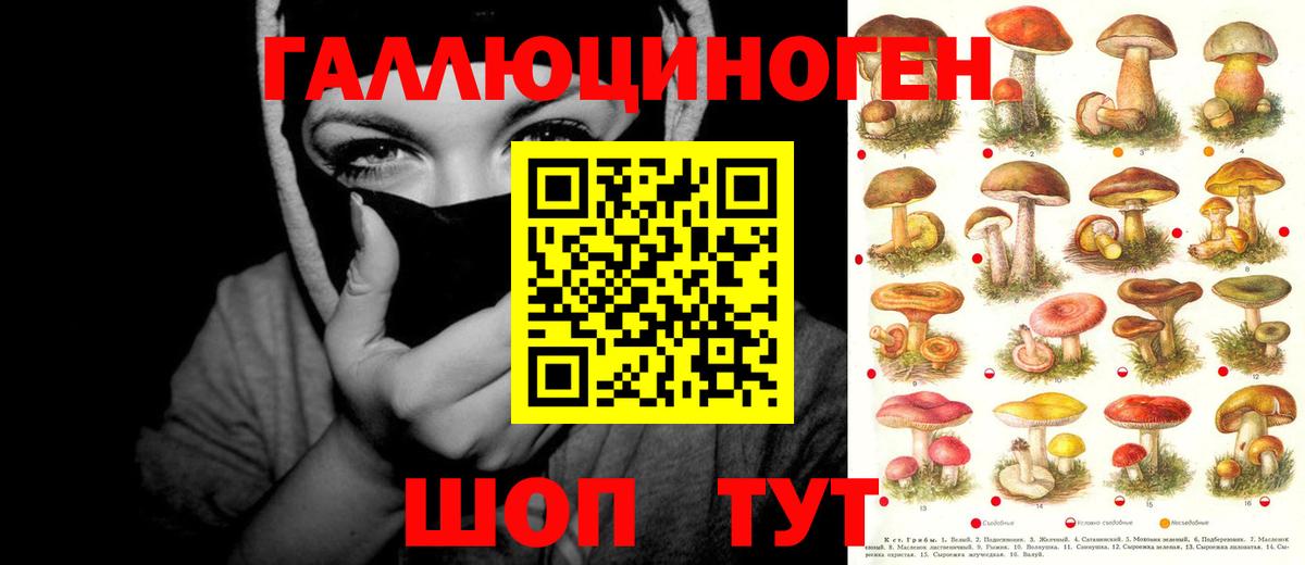 Псилоцибиновые грибы Cubensis Кировск